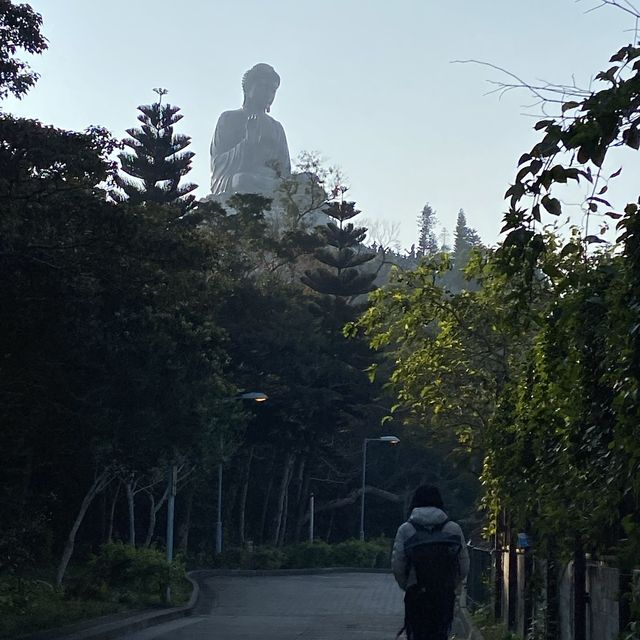 Wisdom Path