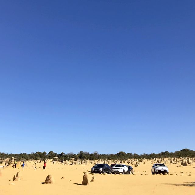 The Pinnacles Desert - Perth, Australia