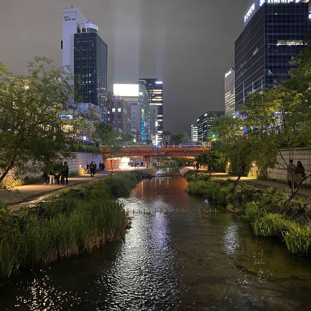 Cheonggyecheon: Urban Oasis in Seoul's Heart