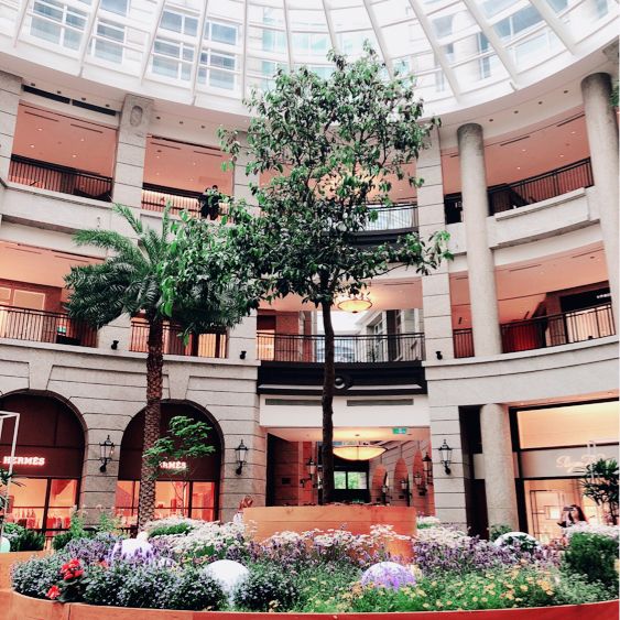 室內造景花園🪷🌳🌴💐 BELLAVITA 寶麗廣場