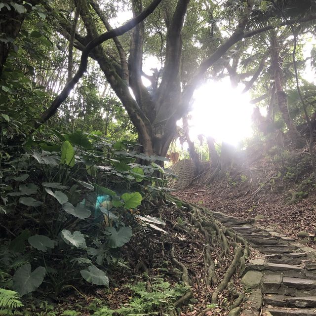 齋明寺古道