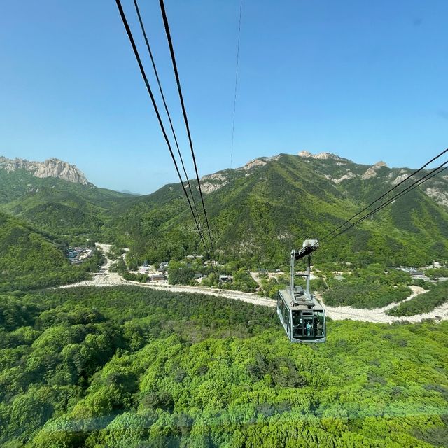 주목-! 속초 케이블카로 손쉽게 설악산 등산해요