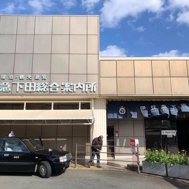 伊豆急行終點站👍🏻鄉村半日遊❤️伊豆半島美景😍😍下田市