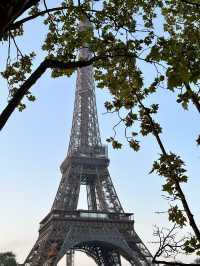 Eiffel Tower Day vs Night view