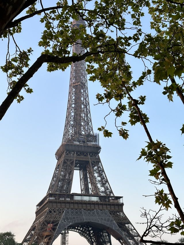 Eiffel Tower Day vs Night view