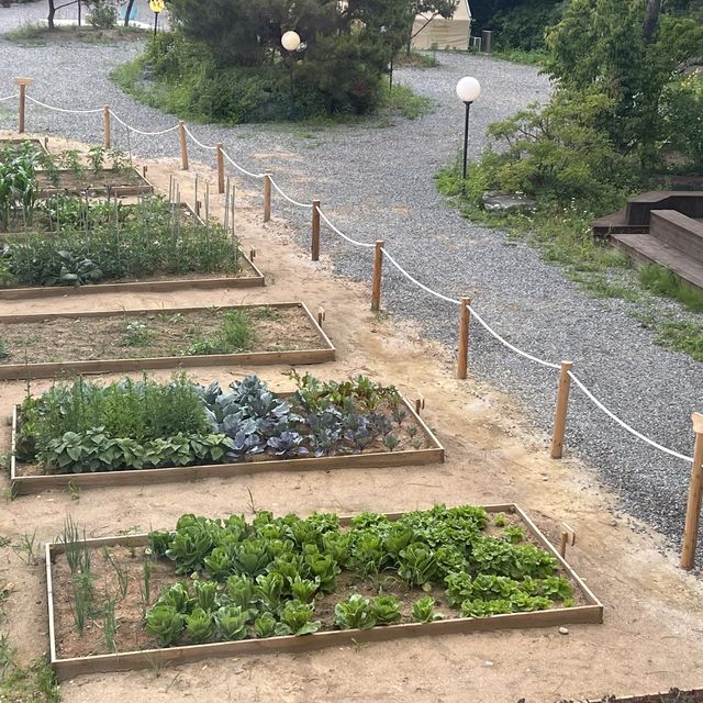 럭셔리한 서울 근교 캠핑장 