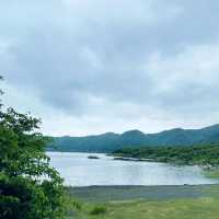 【ペットとお出かけ】本栖湖をぶらりお散歩！