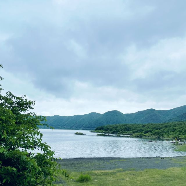 【ペットとお出かけ】本栖湖をぶらりお散歩！