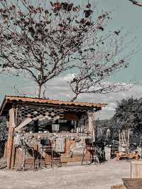 台灣熱門網紅必到開門見山樹屋咖啡Treehouse cafe☕️