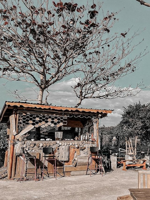 台灣熱門網紅必到開門見山樹屋咖啡Treehouse cafe☕️