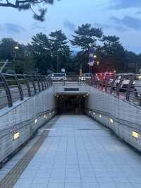 예쁜 사슴들을 원없이 볼수 있는 공원 : 나라사슴공원