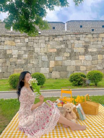 Сувон Хэнгун-дон, пикник у стен дворца💛