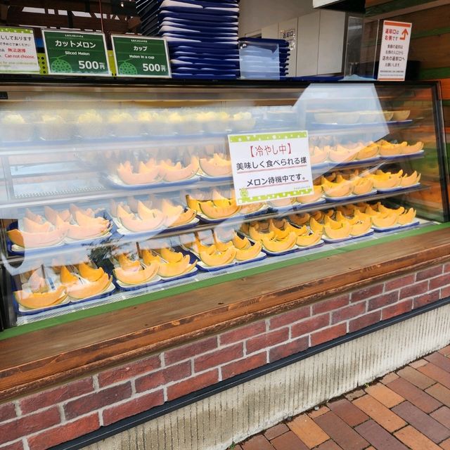 甘くて濃いメロン🍈【とみたメロンハウス】