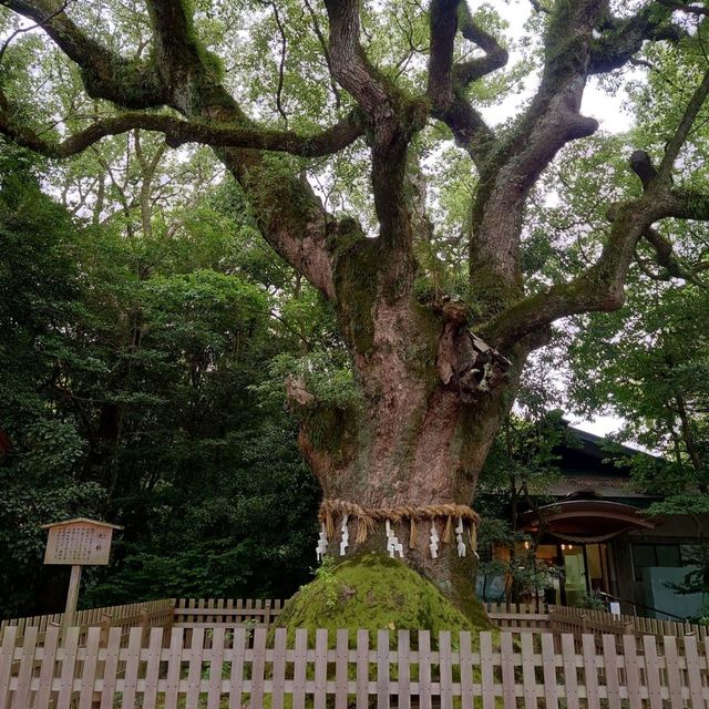 愛知旅行！観光名所「熱田神宮」
