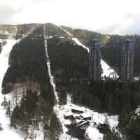 北海道星野Tomamu度假村 *面向滑雪場的兩房一廳*