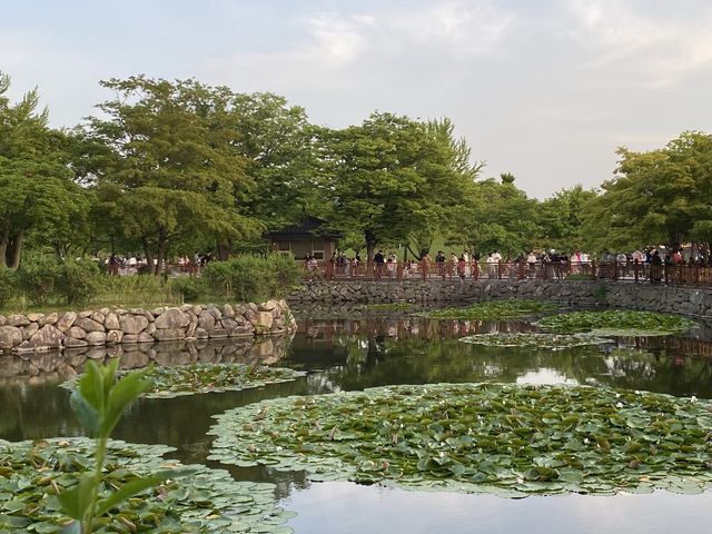 🇰🇷 경주 대릉원 나들이
