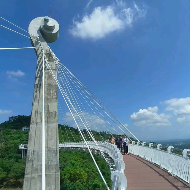 岡山之眼登高遠眺水庫美景