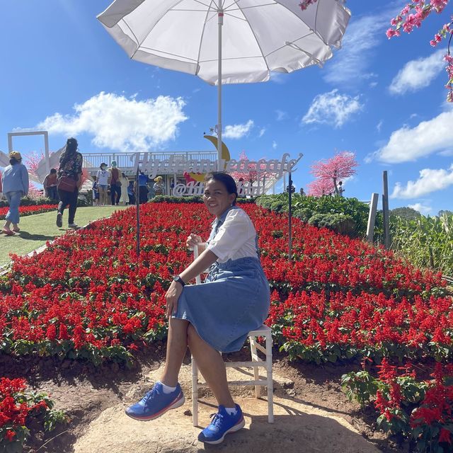 🌼🌼พักกายพักใจ💕💕ชมดอกไม้สวยๆๆ🪻🪻💐💐🌸🌼