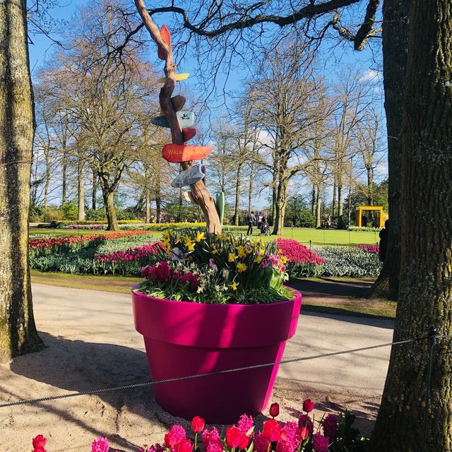 荷蘭🇳🇱盧瑟Lisse•風車景觀區🎡🛶Keukenhof Garden庫肯霍夫花園 