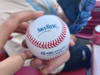 광주의 함성이 울려퍼지는 곳, 기아 챔피언스필드⚾️