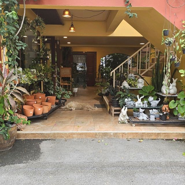 ขจี คาเฟ่ จ.สุพรรณบุรี