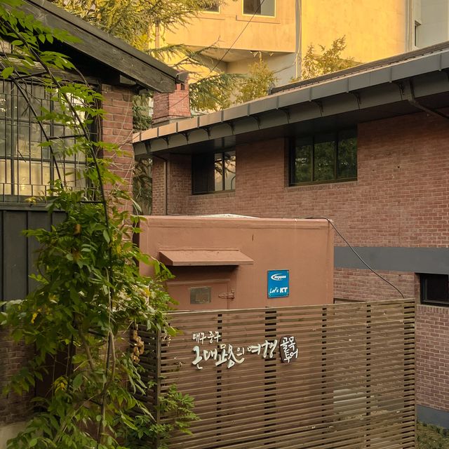 이국적인 단풍 뷰를 구경할 수 있는 대구 여행지 🍁