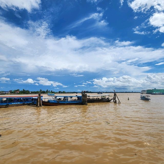 Mekong Delta Region Tour