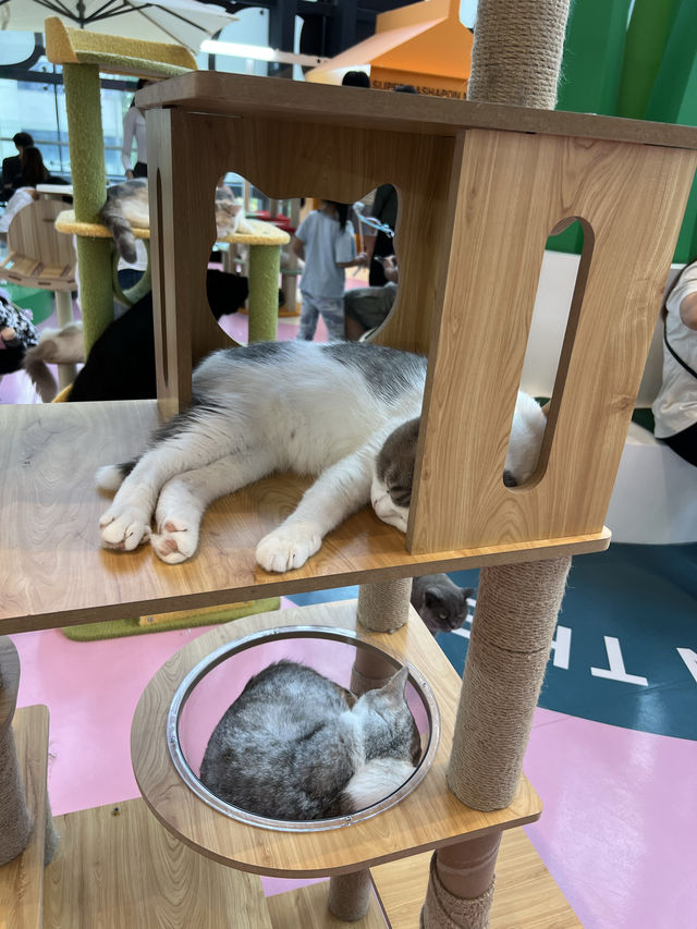 北上玩樂