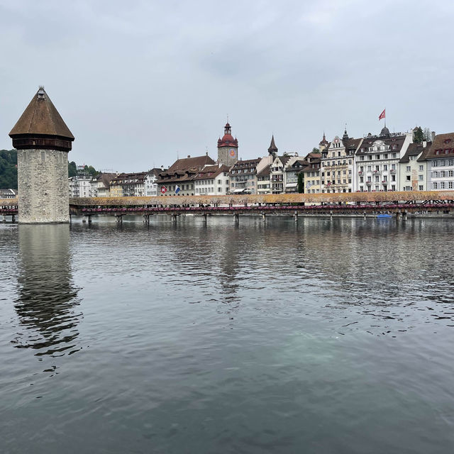 beautiful lucerne