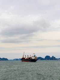 Explore Halong Bay With Cozy Bay Cruise 🌊