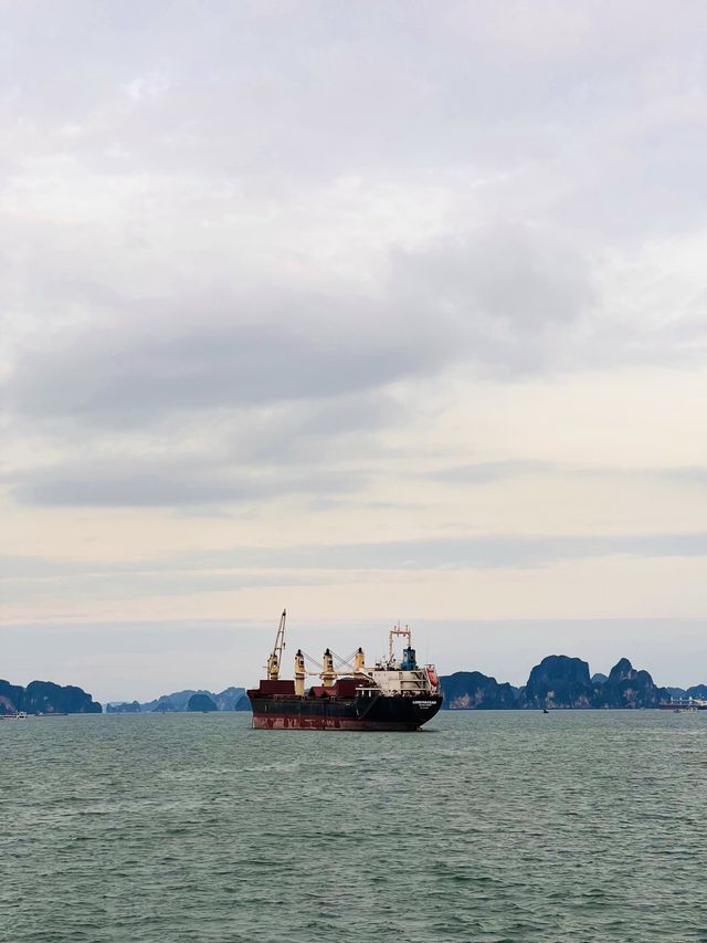 Explore Halong Bay With Cozy Bay Cruise 🌊