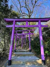 【足利】カラフルな七色の鳥居がある足利織姫神社