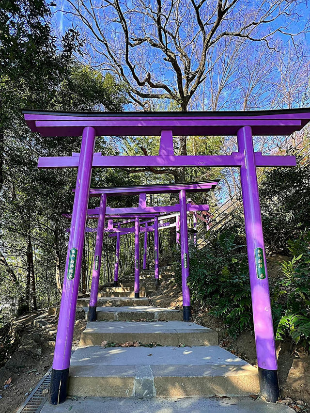 【足利】カラフルな七色の鳥居がある足利織姫神社