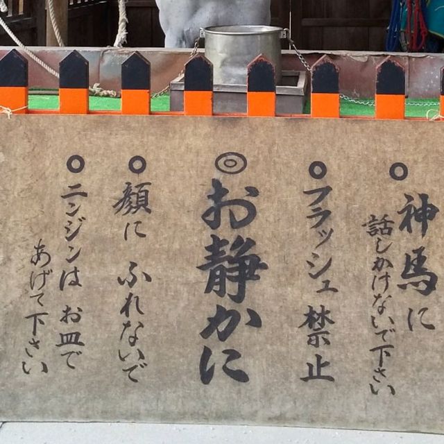 上賀茂神社で、神馬に人参をやったのが楽しかった。