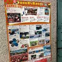 #沖繩最大鬱金香特展