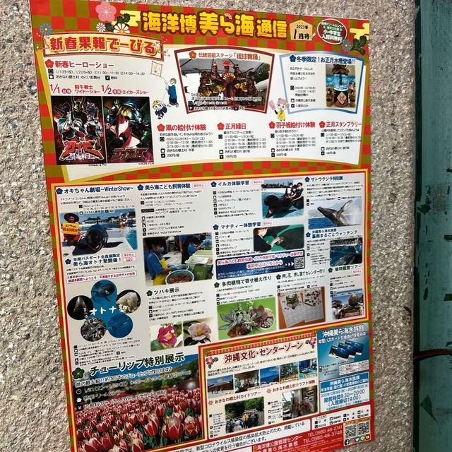 #沖繩最大鬱金香特展