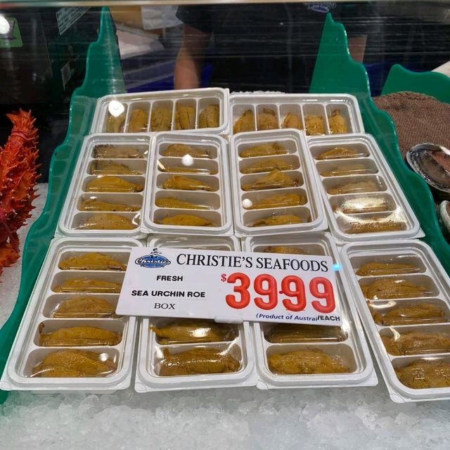 年年有餘(漁) @Sydney Fish Market