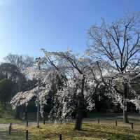 耗一整天也覺得不夠的大仙公園