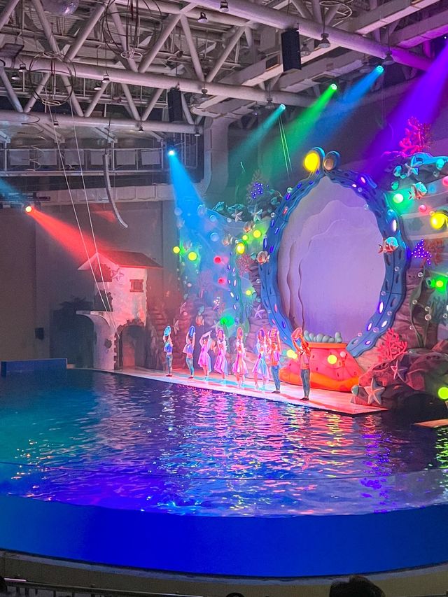 알록달록한 물고기들이 있는 제주아쿠아리움🐠