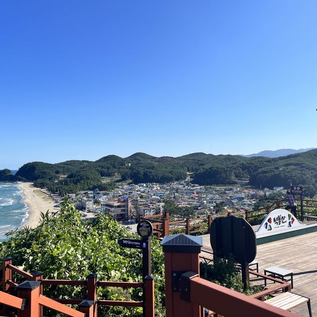 🚝기차타고 떠나는 삼척 당일치기 여행 코스