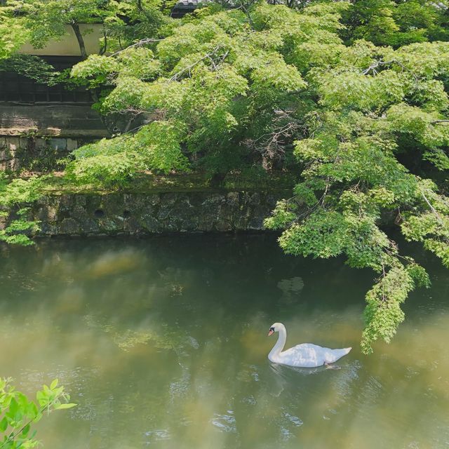 【大原美術館】倉敷一の見どころ