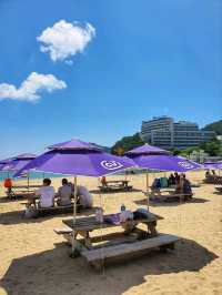 호캉스도 할수 있어 더 좋은 거제도 와현해수욕장🏖