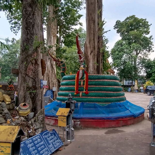 ชวนเที่ยววัดมรุดขนคร 