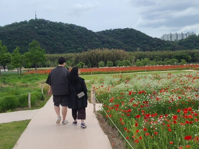 Beautiful Flower Park 