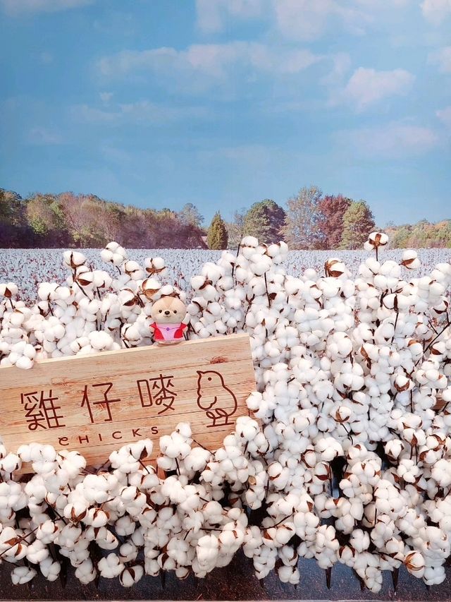 中環街市｜雞仔嘜｜期間限定展覽