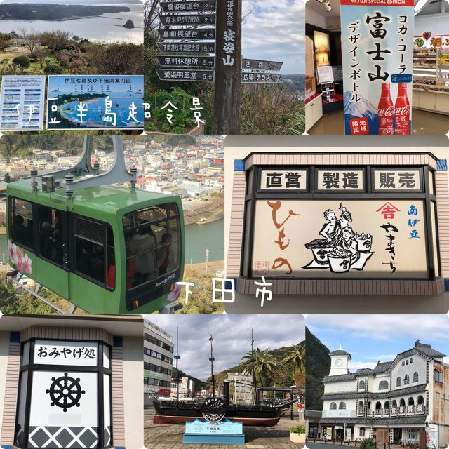 伊豆急行終點站👍🏻鄉村半日遊❤️伊豆半島美景😍😍下田市