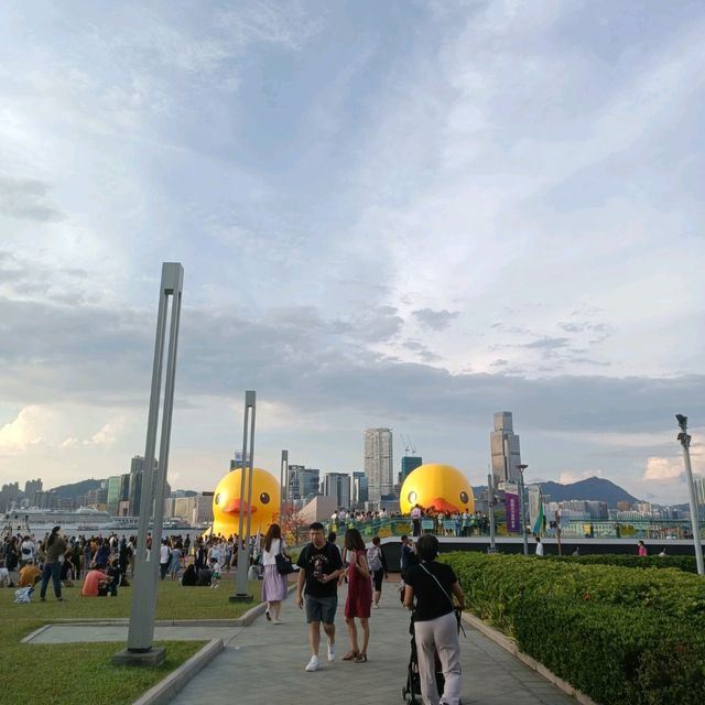 必睇必影 黃色鴨
