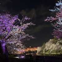 東京最美夜櫻之一🌸 – 千鳥之淵