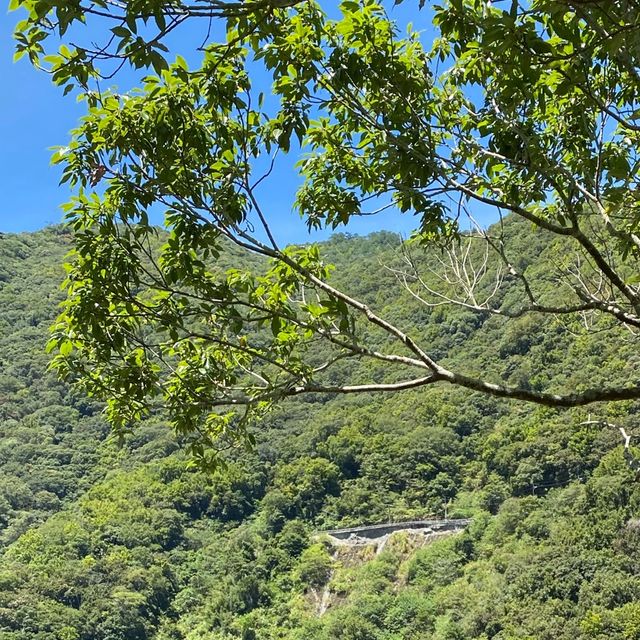 老巴陵橋☀️
