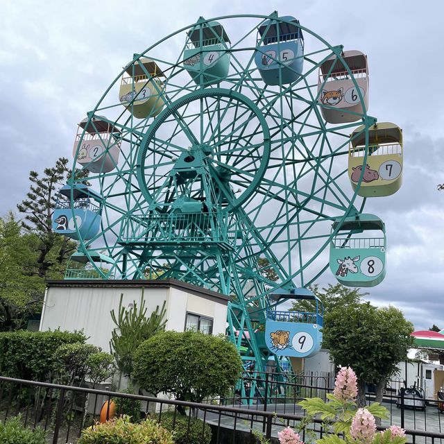 【親子景點】京都市動物園